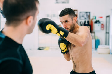 Mann mit Boxhandschuhen beim Sparring - CUF45254