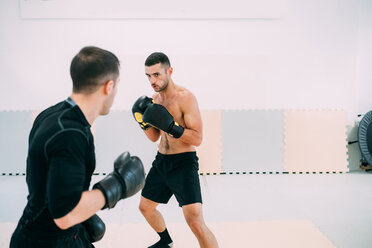 Männer im Fitnessstudio beim Sparring - CUF45256