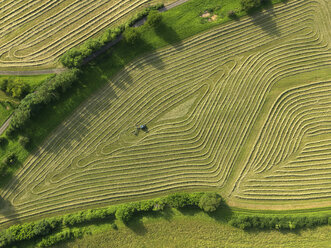 Aerial view tractor in patterned green agricultural crop, Hohenheim, Baden-Wuerttemberg, Germany - FSIF03253