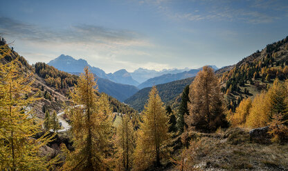 Herbstfarben, Dolomiten, Cortina d'Ampezzo, Venetien, Italien - CUF45529