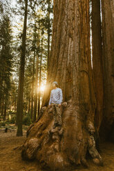 Man standing on sequoia tree, Sequoia National Park, California, USA - CUF45750