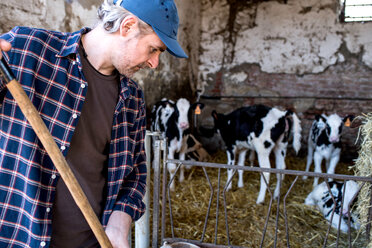 Dairy farm worker cleaning out cattle pen - CUF45830