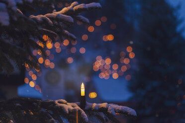 Lighted electric candle on snow-covered fir branch - MMAF00616