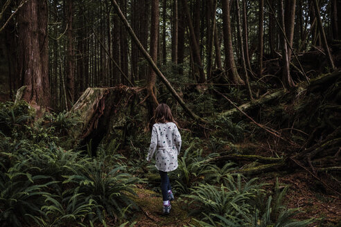 Mädchen beim Wandern im Wald, Tofino, Kanada - ISF19915
