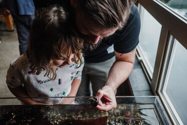 Vater und Tochter entdecken die Meereswelt im Aquarium - ISF19918