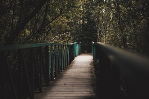 Hölzerne Brücke im Wald, lizenzfreies Stockfoto