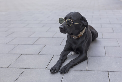 Schwarzer Hund mit Sonnenbrille auf dem Bürgersteig liegend - JUNF01528