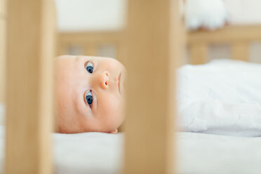 View through cot of baby boy lying down looking at camera - CUF46224