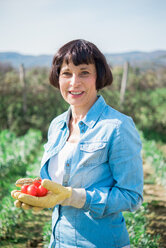 Woman with handful of tomatoes in vegetable garden - CUF46229