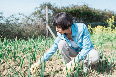 Woman weeding vegetable garden - CUF46231