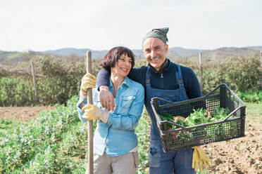 Mature couple with crate of vegetables in garden - CUF46235