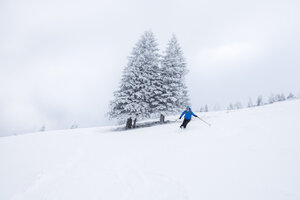 Austria, Salzburg State, Osterhorn Group, skier - HAMF00447
