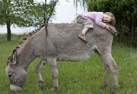 Niedliches Mädchen auf Esel im Feld liegend, lizenzfreies Stockfoto