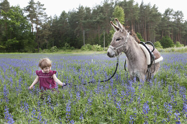 Mädchen führt Esel durch ein Feld mit Wildblumen - FSIF03291