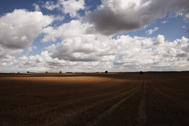 Idyllische Wolken über landwirtschaftlichen Kulturen, Wiendorf, Mecklenburg-Vorpommern, Deutschland - FSIF03298