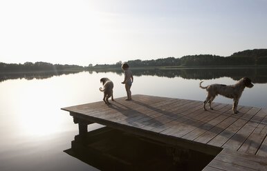 Mädchen und Hunde auf einem Steg am See - FSIF03307