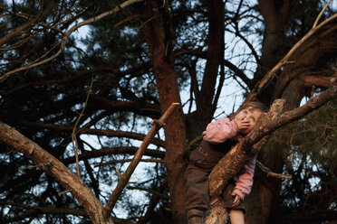 Niedliches Mädchen klettert auf Baum - FSIF03310