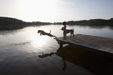 Mädchen beobachtet Hund, der von einem Steg am See springt, Wiendorf, Mecklenburg-Vorpommern, Deutschland - FSIF03320