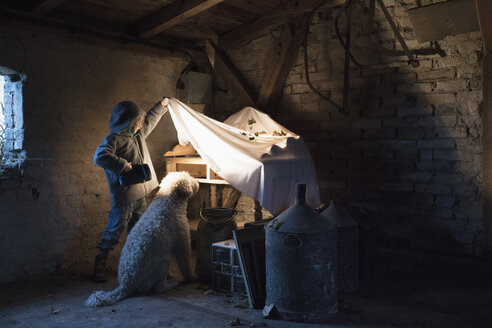 Girl and dog with flashlight peeking under cloth in carpentry workshop - FSIF03350