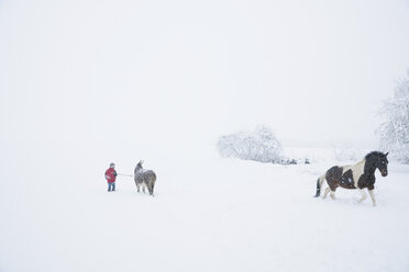 Mädchen in verschneitem Feld mit Esel und Pferd - FSIF03357