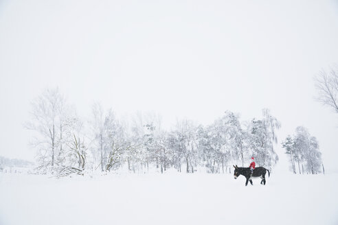 Girl in Santa hat riding donkey in snowy field - FSIF03384
