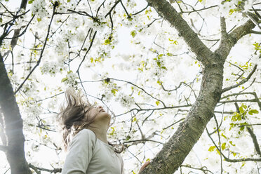 Unbekümmertes Mädchen klettert im Frühling auf einen Apfelblütenbaum - FSIF03386