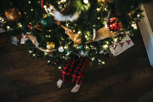 Low section of boy sitting by Christmas tree on hardwood floor at home - CAVF49170