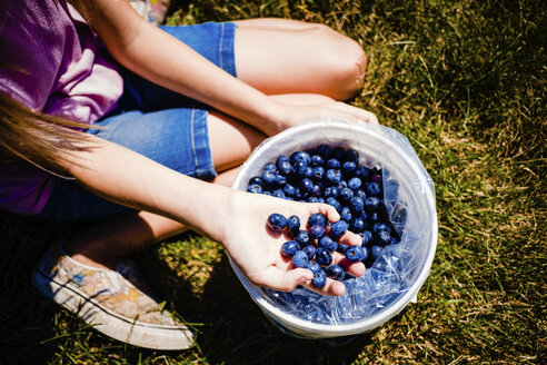 Tiefschnitt eines Mädchens mit Blaubeeren in einem Eimer auf einem Feld auf einem Bauernhof - CAVF49298