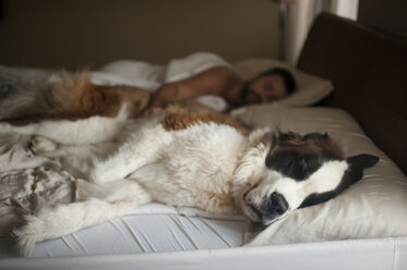 Man sleeping with dog on bed at home - CAVF49304