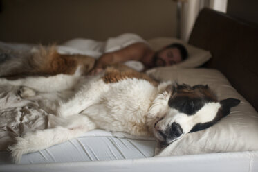 Mann schläft mit Hund auf dem Bett zu Hause - CAVF49304