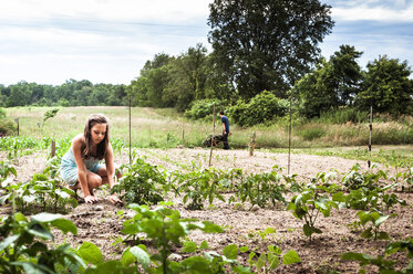 Mädchen pflanzt, während der Bruder im Hintergrund im Gemüsegarten arbeitet - CAVF49315