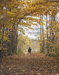 Rückansicht eines Jungen mit Hund, der im Herbst auf gefallenen Blättern im Wald spazieren geht - CAVF49524