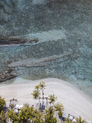 Luftaufnahme von Palmen, die am Strand der Malediven wachsen - CAVF49569