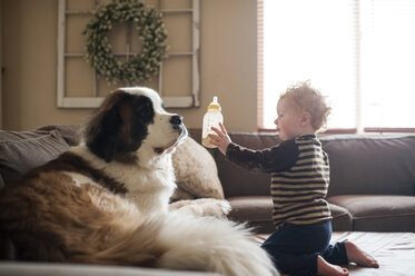 Seitenansicht eines niedlichen kleinen Jungen, der dem Hund auf dem Sofa zu Hause die Milchflasche zeigt - CAVF49593