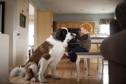 Seitenansicht eines kleinen Jungen, der einen Hund berührt, während er auf einem Stuhl zu Hause sitzt - CAVF49595