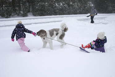 Mädchen mit Hund, das mit seiner Schwester einen Schlitten zieht, während der Vater im Winter Schnee von der Straße räumt - CAVF49634