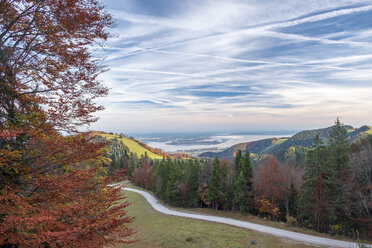 Deutschland, Oberbayern, Aschau, Herbstwald, Blick auf den Chiemsee am Abend - HAMF00510