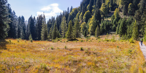 Germany, Bavaria, Allgaeu, Huehnermoos at Soellereck near Oberstdorf, one teenage boy on nature trail - WGF01264