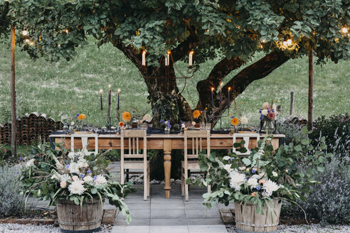 Festive laid table with candles under a tree - ALBF00697