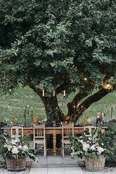Festlich gedeckter Tisch mit Kerzen unter einem Baum - ALBF00698