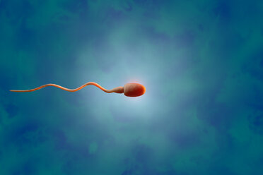 Sperma, 3D-Rendering - SPCF00279