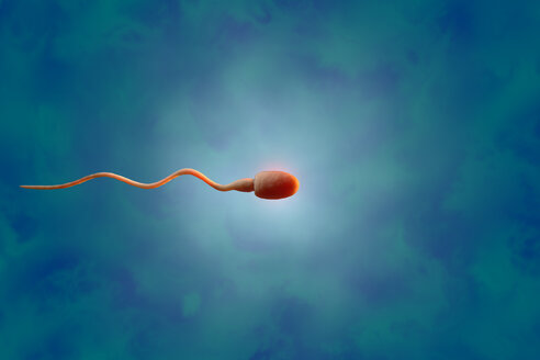 Sperm, 3D Rendering - SPCF00279