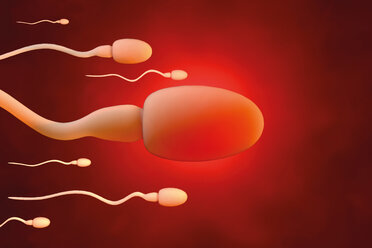 Sperm cells trying to reach an egg cell, 3D Rendering - SPCF00280