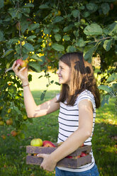 Smiling girl picking apple from tree - LVF07480