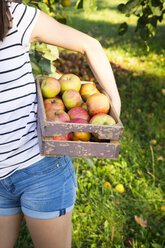 Mädchen hält Holzkiste mit geernteten Äpfeln, Teilansicht - LVF07484