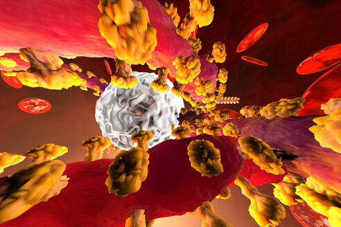 3D-Darstellung eines Ebola-Virus im Kampf mit Leukozyten-Abwehrzellen im Blutstrom, umgeben von Erythrozytenzellen - SPCF00284