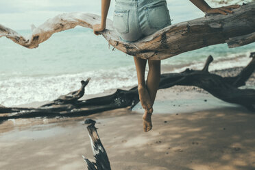 Tiefschnitt einer Frau auf einem Ast am Strand sitzend - CAVF49782