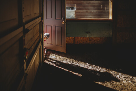 Porträt eines kleinen Jungen, der durch eine Tür in einem verlassenen Haus schaut, lizenzfreies Stockfoto