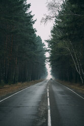 Back view of car driving on country road through pine forest - VPIF00922