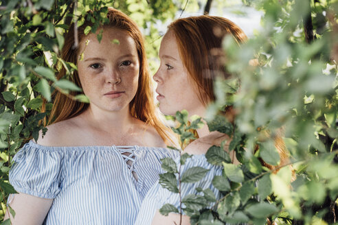 Redheaded twins at a tree - VPIF00933